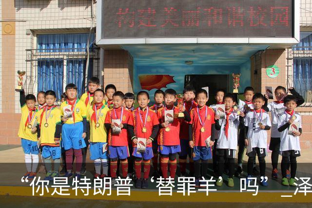 “你是特朗普‘替罪羊’吗?” 泽连斯基静止10秒笑了