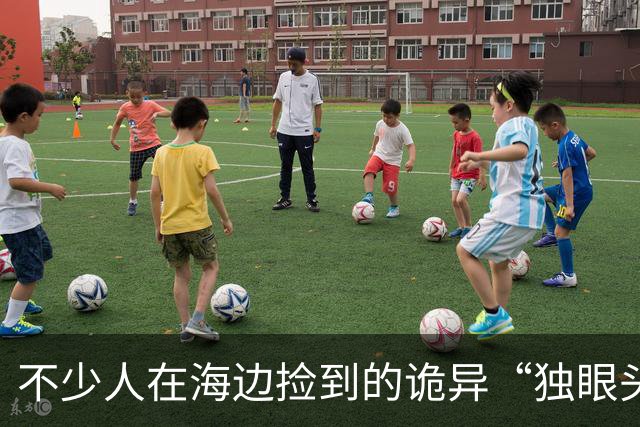 不少人在海边捡到的诡异“独眼头骨”，竟属于“国宝”的亲戚？