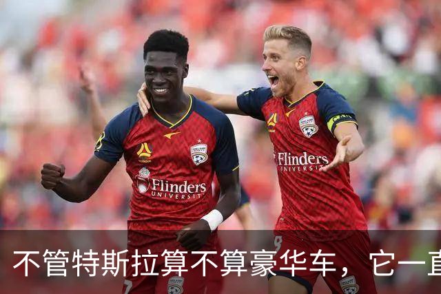 不管特斯拉算不算豪华车，它一直按豪华车的价格卖给你