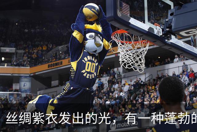 丝绸紫衣发出的光，有一种蓬勃的运势！
