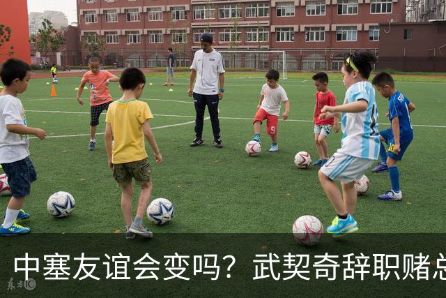 中塞友谊会变吗？武契奇辞职赌总理败选，新领导对华态度模棱两可