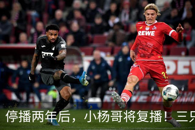 停播两年后，小杨哥将复播！三只羊曾转战海外签约无语哥