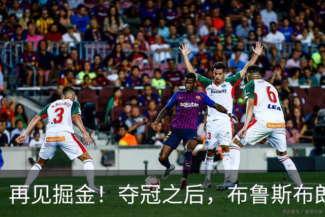 再见掘金！夺冠之后，布鲁斯布朗都经历了什么？