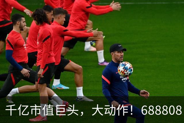 千亿市值巨头，大动作！688808，筹划赴港上市！