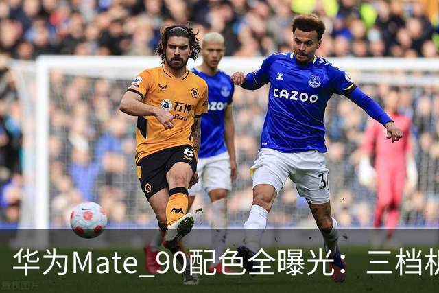 华为Mate 90配色全曝光：三档机型，积木壳能自己拼