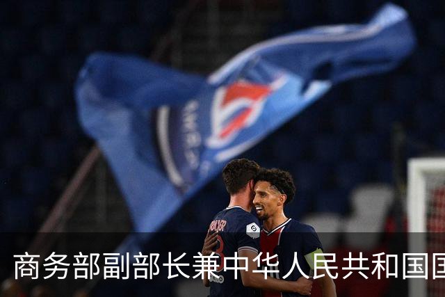 商务部副部长兼中华人民共和国国际贸易谈判副代表凌激会见德国敦豪集团首席执行官麦韬远