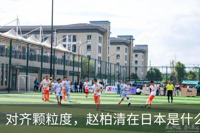 对齐颗粒度，赵柏清在日本是什么水平？