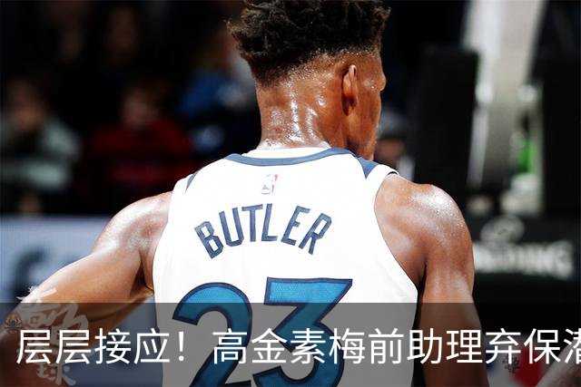 层层接应！高金素梅前助理弃保潜逃，第10名共犯落网，黑帮投案藏猫腻