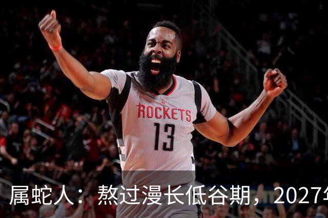 属蛇人：熬过漫长低谷期，2027年日子慢慢回暖福气自来