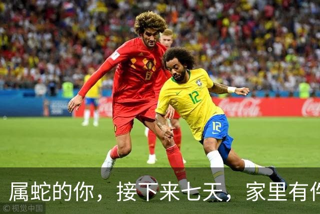 属蛇的你，接下来七天，家里有件大事要定下来，躲都躲不掉。