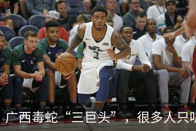 广西毒蛇“三巨头”，很多人只听过两种，第三种比五步蛇还凶险