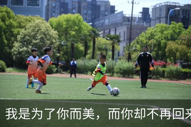 我是为了你而美，而你却不再回来