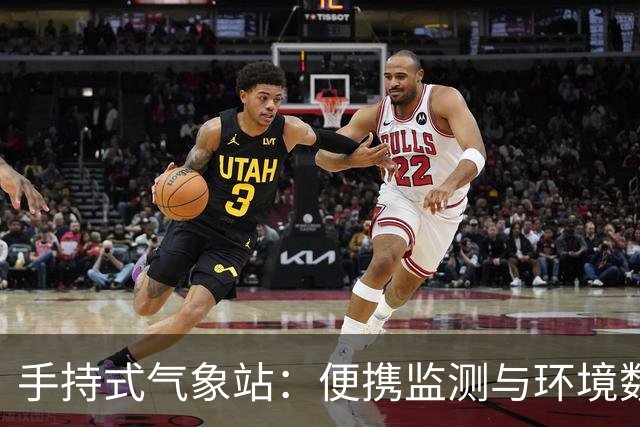 手持式气象站：便携监测与环境数据的多维呈现