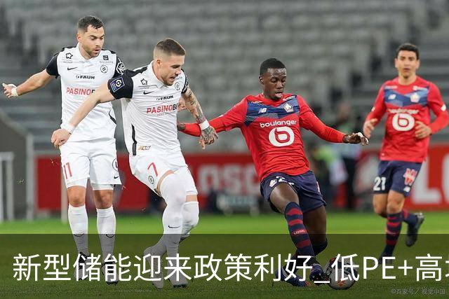 新型储能迎来政策利好 低PE+高增长潜力股出炉