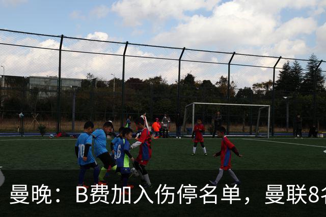 曼晚：B费加入伤停名单，曼联8名球员存在伤停疑问