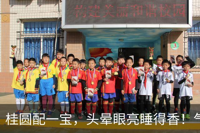 桂圆配一宝，头晕眼亮睡得香！气血足了，整个人都精神了