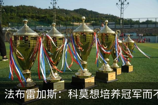 法布雷加斯：科莫想培养冠军而不是购买冠军，这是漫长的成长过程
