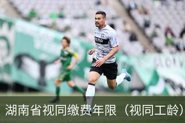 湖南省视同缴费年限（视同工龄）认定与补发核心规定