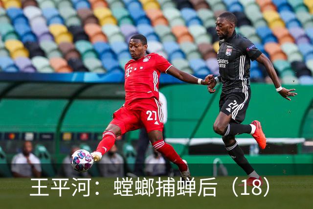 王平河：螳螂捕蝉后（1/8）