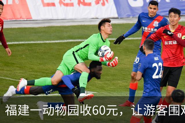 福建一动物园收60元，让游客围观鸡被猛兽撕咬挣扎，不少还是未成年人，工作人员：来就是为了玩啊！当地回应：已全面下架涉事项目