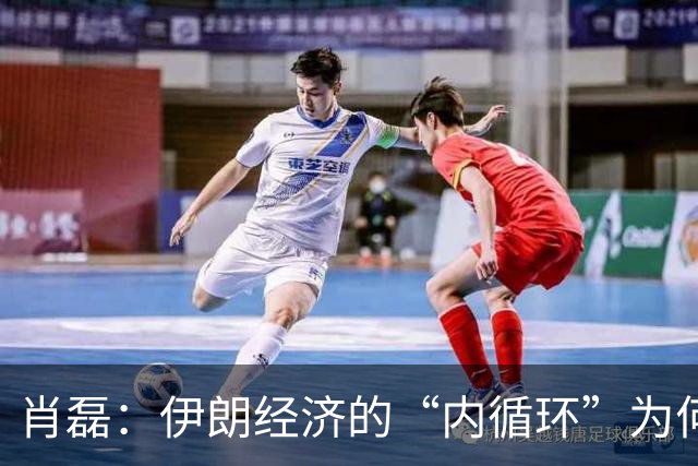 肖磊：伊朗经济的“内循环”为何无效？