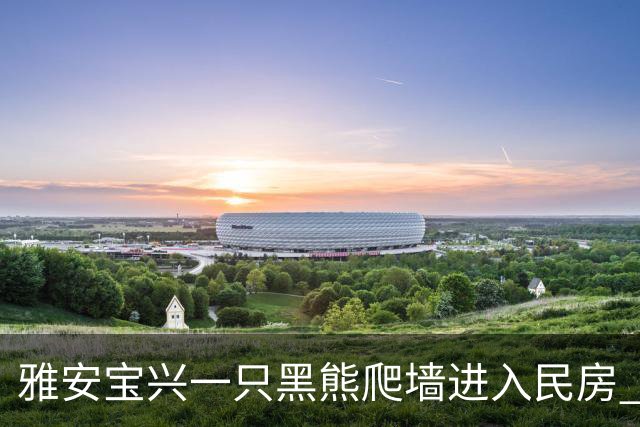 雅安宝兴一只黑熊爬墙进入民房 林业部门：事发城郊，已捕获将选偏远地方放归