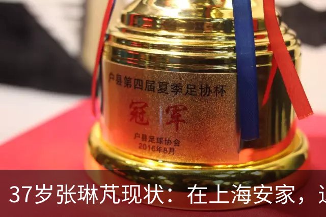 37岁张琳芃现状：在上海安家，退役后准备当教练，俩儿子都踢足球